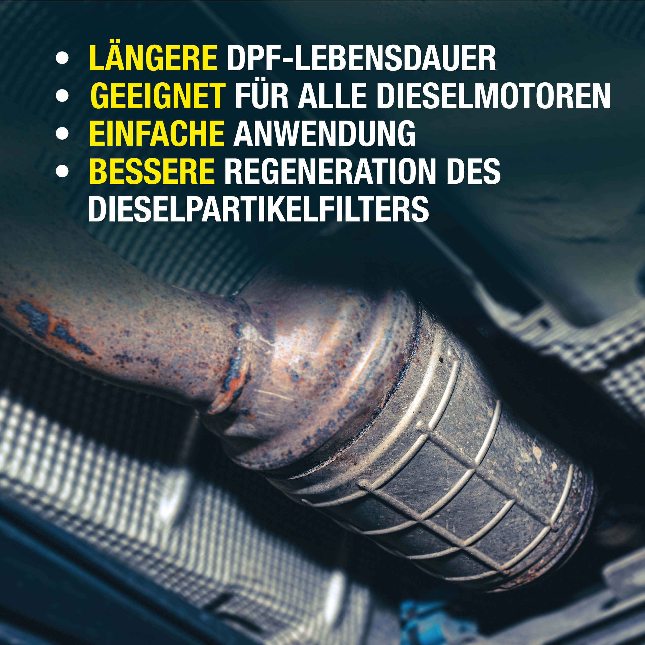 2x Diesel System Reiniger für AGR-Ventil DPF Einlassventil