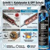 Lifetime Benzin Katalysator Reinigungs-Kur PRO-LINE - Katalysator Schutz 400ml + Longlife Benzin 500ml - OPF & Kat Schutz & Dauerpflege