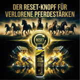 Lifetime MOTORSPÜLUNG Pro-Line - Intensivreinigung für Benzin- und Dieselmotoren, 300ml