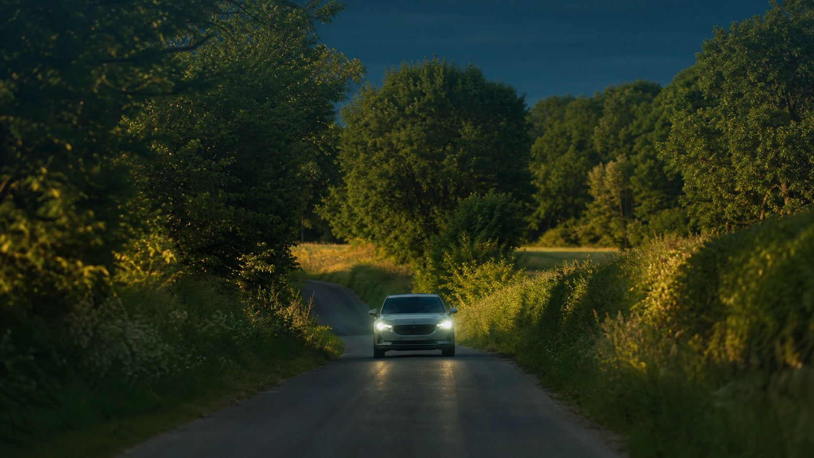 LIFETIME Magazin – Auto auf sommerlicher Landstraße, dichtes Grün