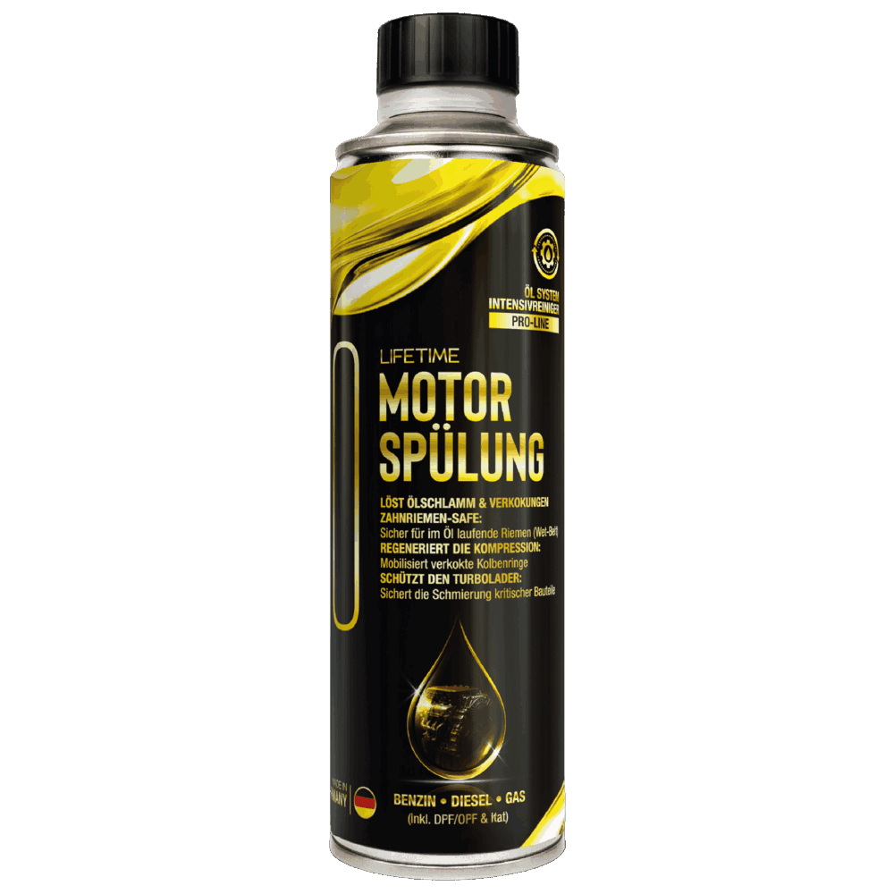 LIFETIME MOTORSPÜLUNG Pro-Line 300 ml Dose